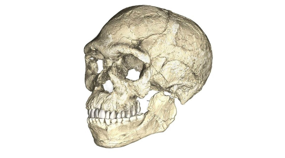 earliest homo sapien fossil