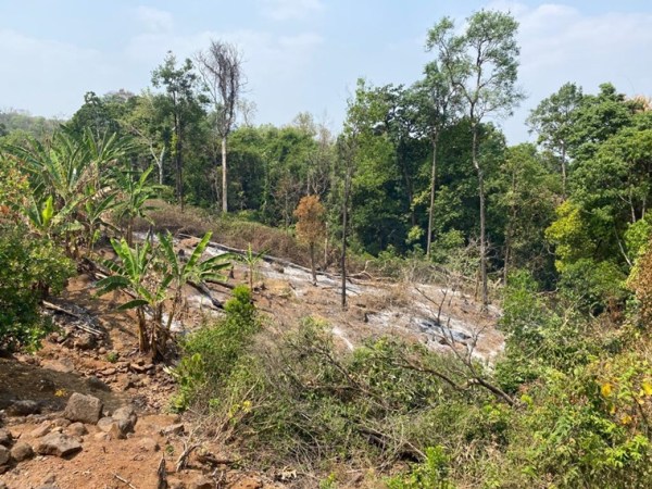 bhimgad sanctuary land encroachment