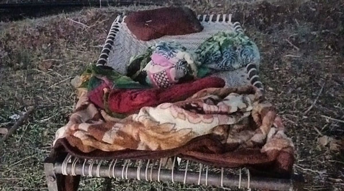 Gujarat leopard attacks