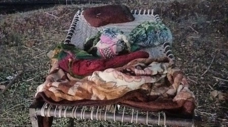 Gujarat leopard attacks