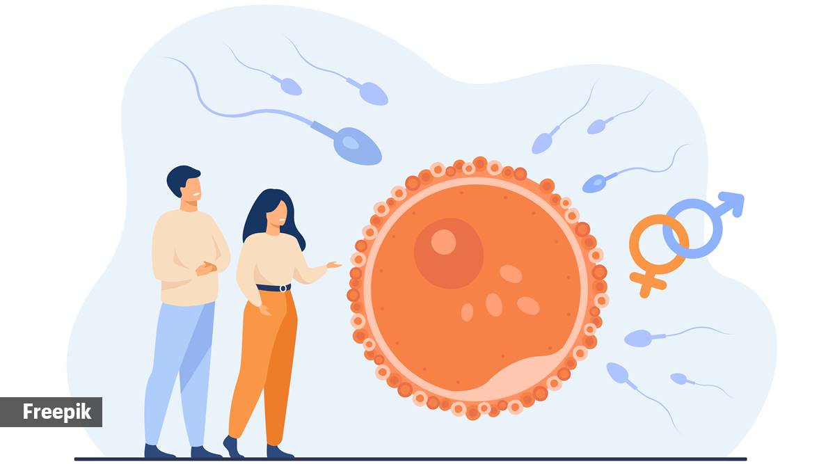 Ovarian cancer patients can look into IVF treatment options.