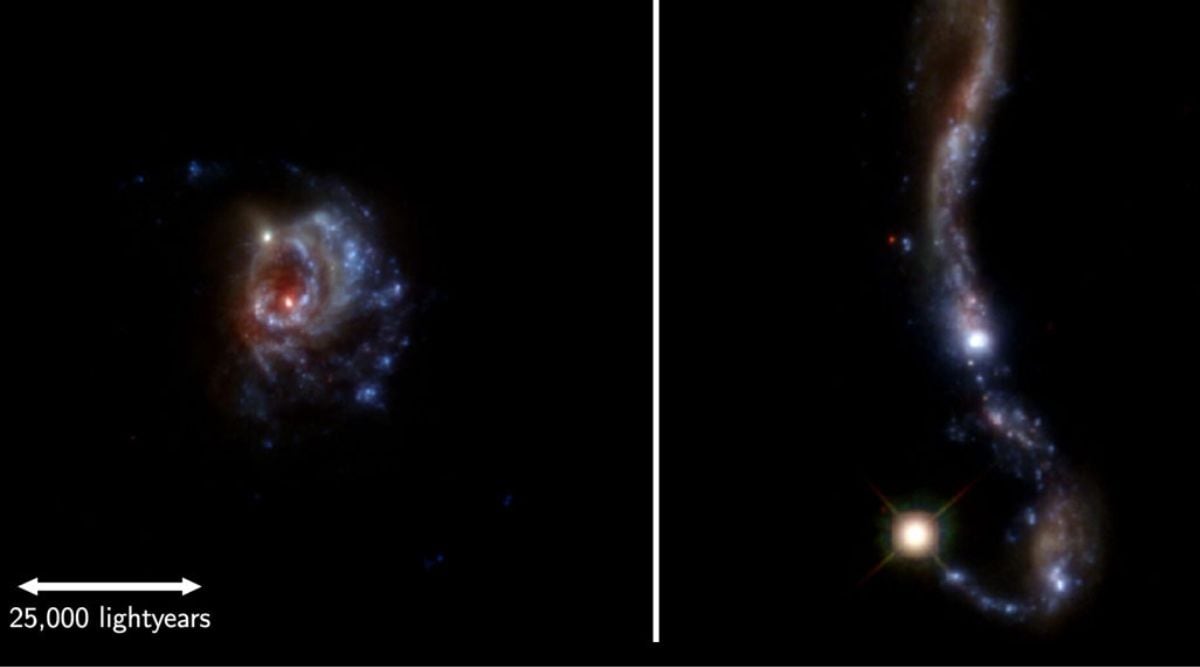 Spying on neighbouring galaxies help astronomers understand distant ones