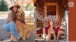 Meet Tucker, a Golden Retriever, who earns more than Rs 8 crores per year from social media
