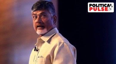 Chandrababu Naidu