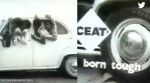 Old Doordarshan CEAT tyre ad