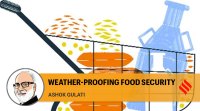 ashok gulati writes: weather-proof food security