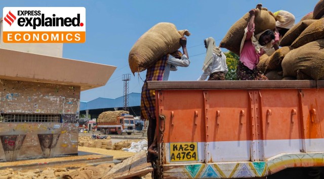 Labourers load water-soaked rice sacks into a truck from an APMC yard.