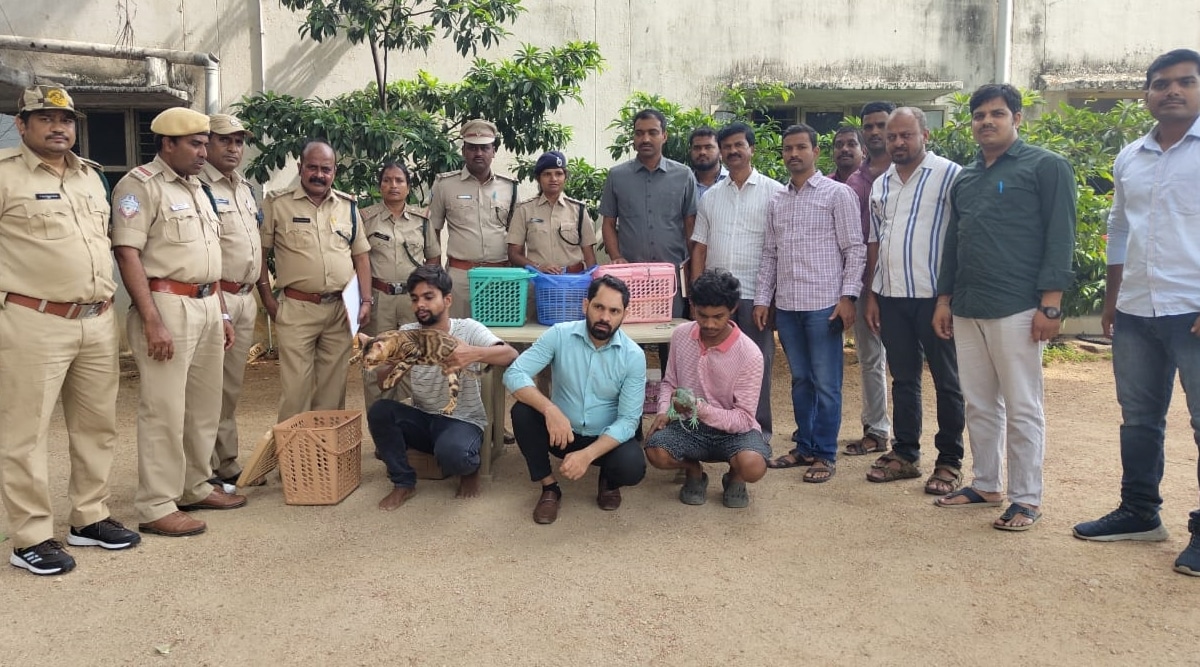Hyderabad pub owner, 5 others arrested for display of exotic pets