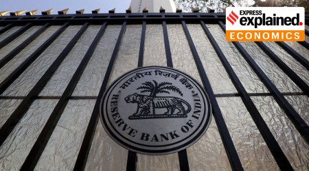 RBI became a net seller of the US dollar in FYI2023