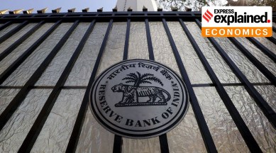 RBI became a net seller of the US dollar in FYI2023