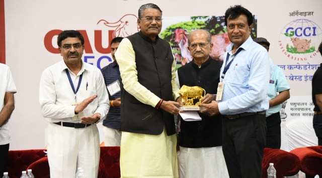 Ahmedabad Stray cattle, Stray cattle problem in Ahmedabad, Cow, Agriculture Minister Raghavji Patel, GauTech 2023, expo on cow-based industries, indian express, indian express news