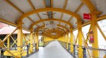 skywalk tn