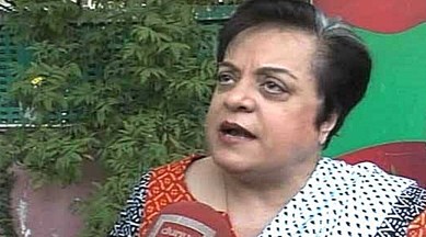 Shireen Mazari, party, politics, indian express