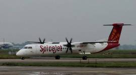 SpiceJet insolvency news