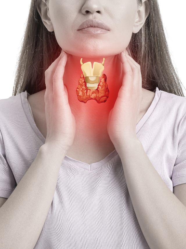 What Is Thyroid The Indian Express What is thyroid the indian express