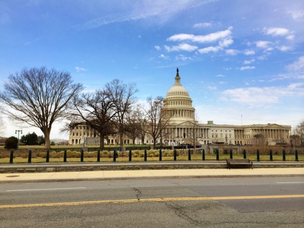 The Capitol, Washington DC