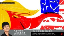 The looming Trump menaka guruswamy writes, trump