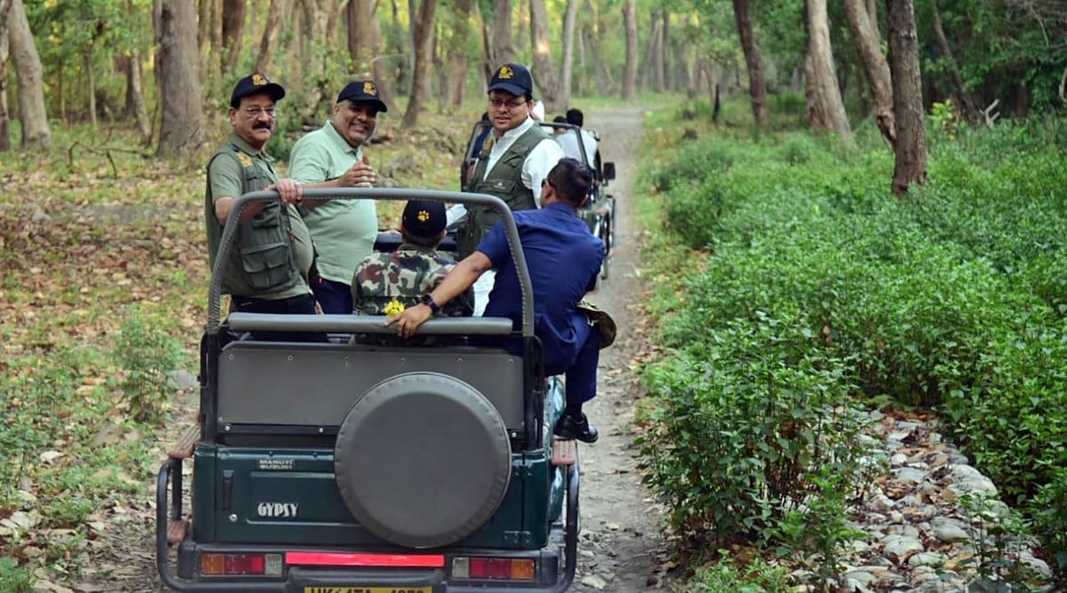 Tigress released in Uttarakhand’s Rajaji reserve, tigress translocated in Uttarakhan forests, UK forest area of Corbett Tiger Reserve, UK Motichur forest area, the big cat, Pushkar Singh Dhami, Bhupendra Yadav, indian express, indian express news