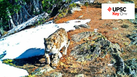 UPSC key terms, upsc news, upsc syllabus, UPSC KEY, Upsc Key terms, IAS current affairs, upsc Key Indian express, The Indian Express current Affairs, Is Indian Express Good for UPSC, upsc today news, upsc newspaper, Indian express today important news for upsc, Indian express monthly current affairs, What should I read in Indian Express for UPSC today, UPSC Answer Key, UPSC Online, IAS, IPS, upsc current affairs news, UPSC KEY News, UPSC Civil services news, UPSC Prelims 2023, UPSC Mains 2023, UPSC Mains 2023, UPSC Mains 2024, UPSC Prelims 2024,