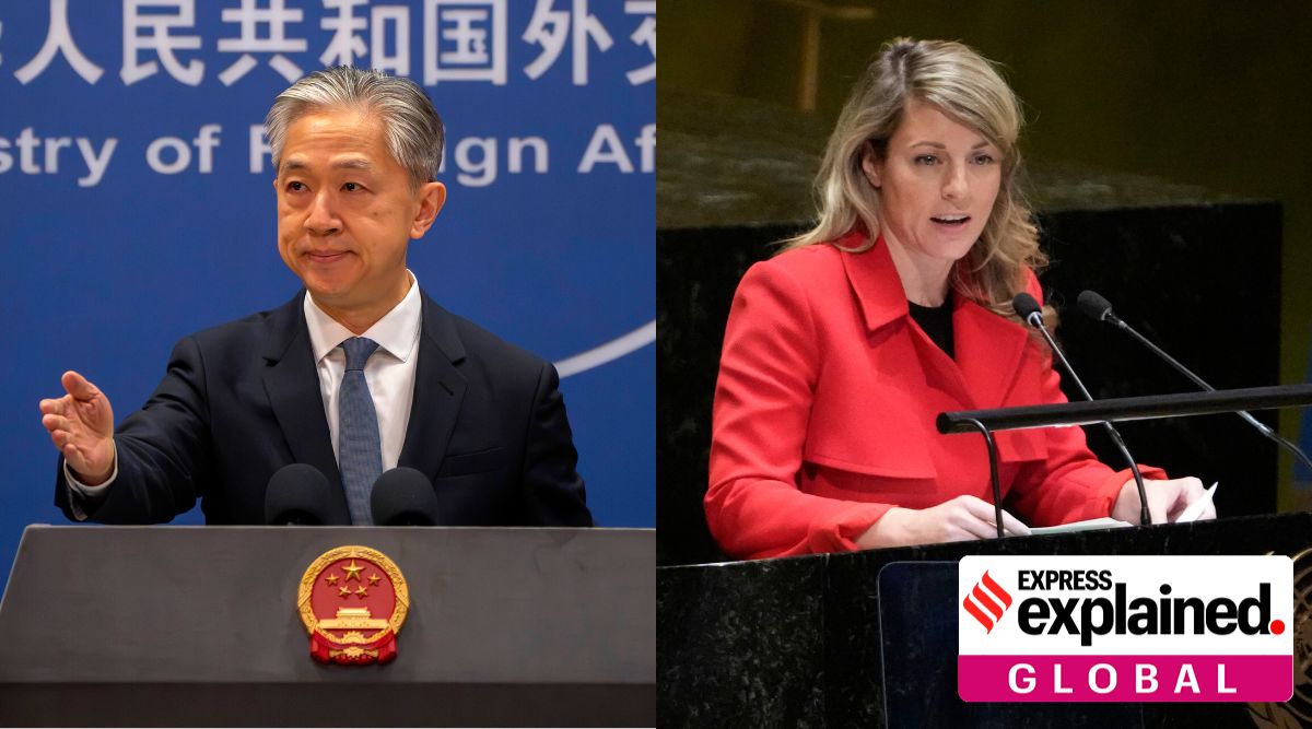 Chinese Foreign Ministry spokesperson Wang Wenbin and Canadian Foreign Minister Melanie Joly.