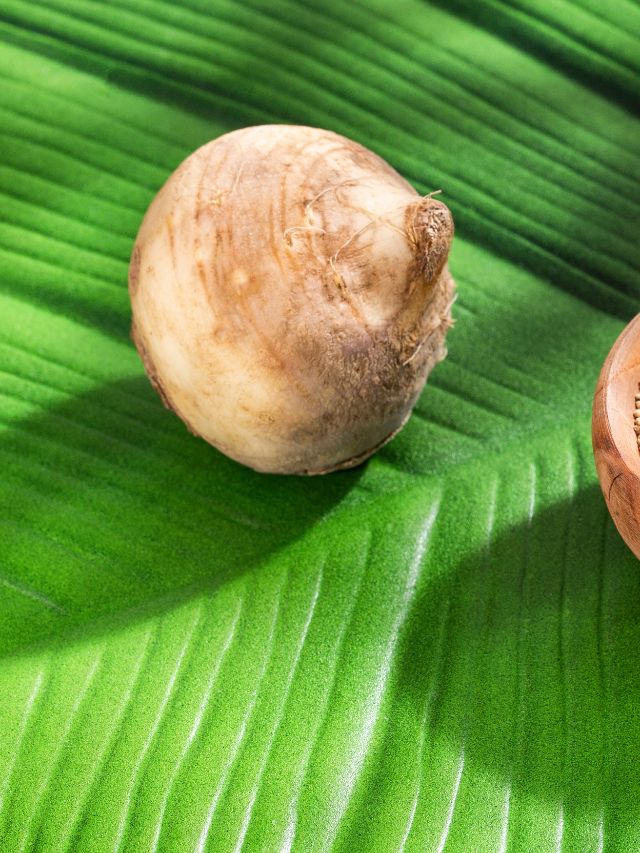 health-benefits-of-maca-root-the-indian-express