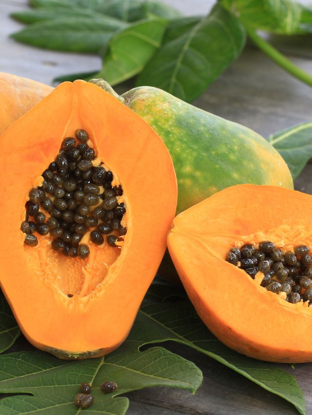 Health benefits of Papaya The Indian Express