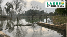 Bengaluru lake Veerasagara lake