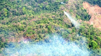 Goa forest fires