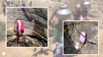Women descends well to collect water