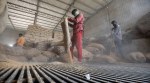 In a record, foodgrains production set to cross 330.53 mn: Govt estimate
