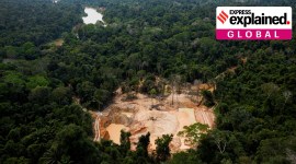 Yanomami illegal mining