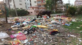 bangalore waste 1