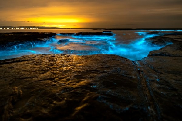 Bioluminescent Beaches Around The World Will Give You New Travel Goals