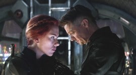 scarlett johansson, jeremy renner