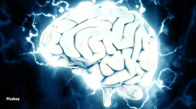 An engram is a postulated biochemical change in the neural tissue that represents a memory.