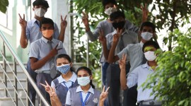 cbse results 2023 out