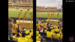 cheerleaders CSK fan