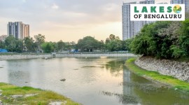 Basavanapura Lake laes of bengaluru