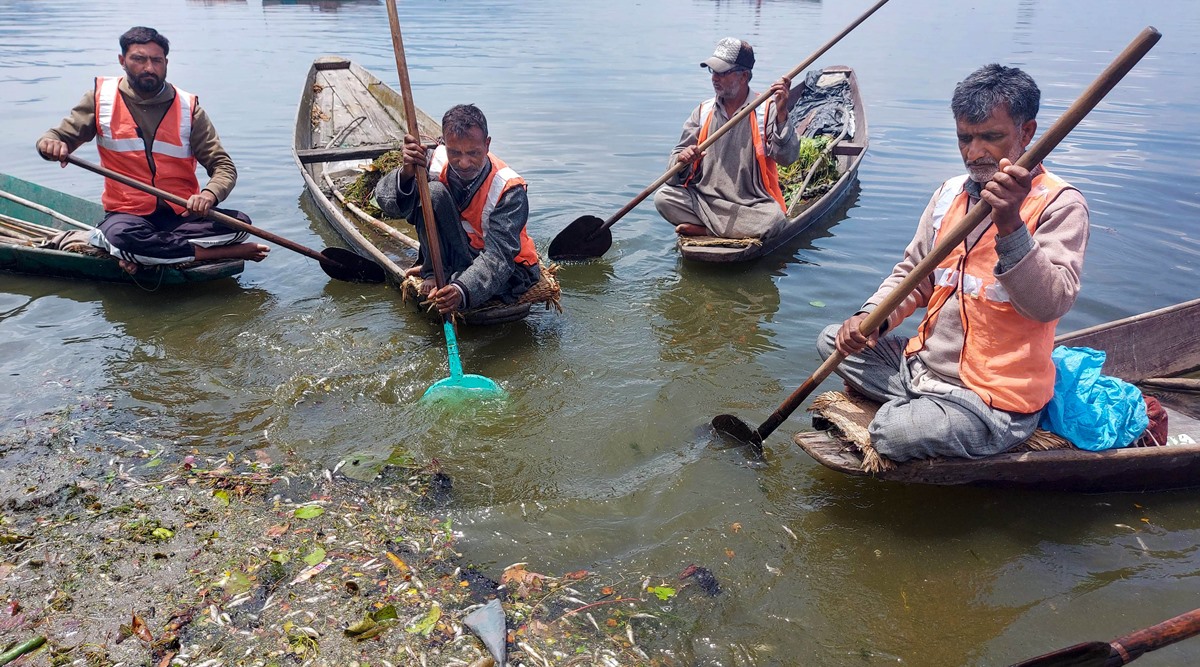 Large-scale Fish Deaths In Dal Lake Raise Alarm Among Residents 