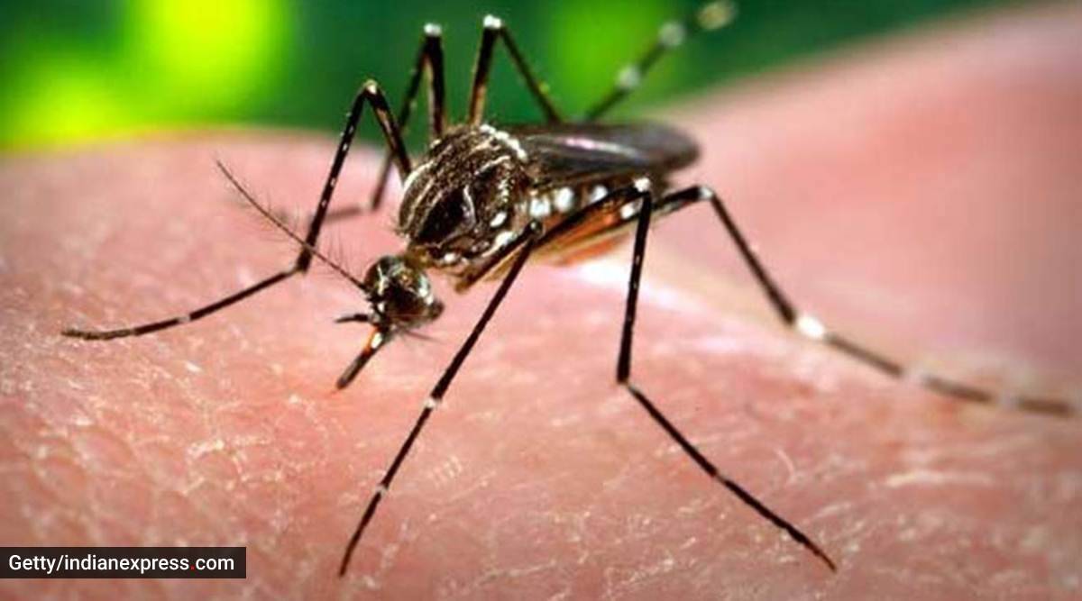 The number of times a person can get infected with dengue in a lifetime  is