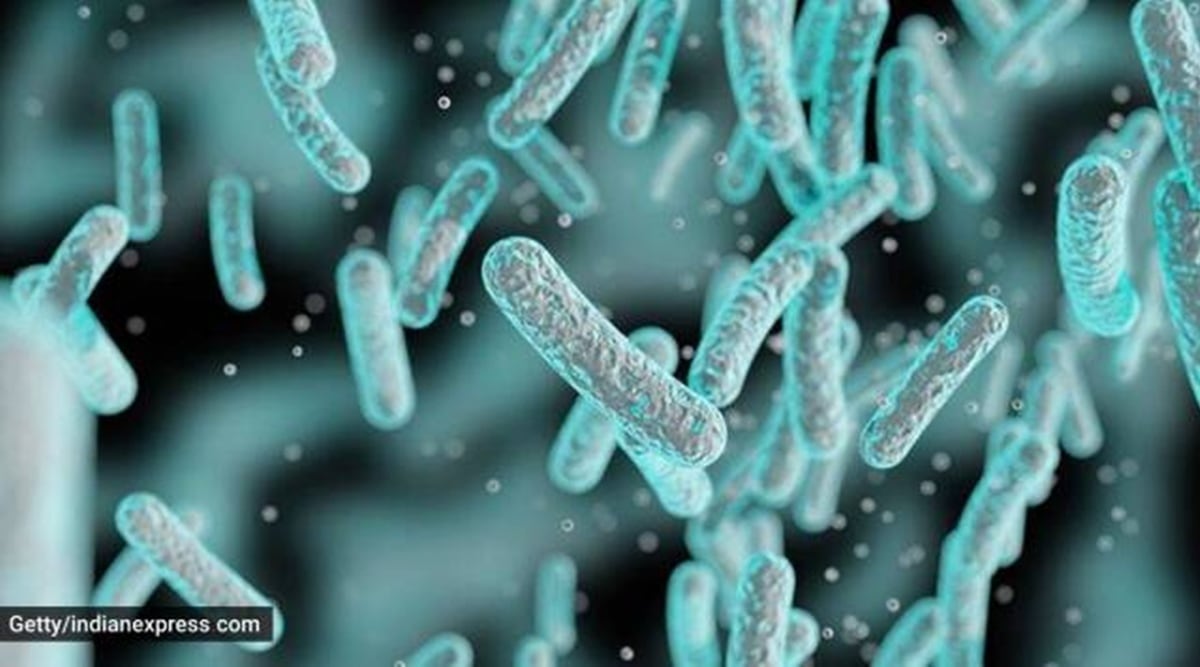 African scientists are working to pool data that decodes diseases – a giant step