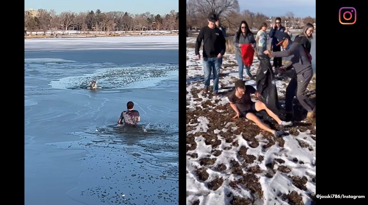 dog rescue frozen lake