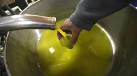 edible oil custom duty