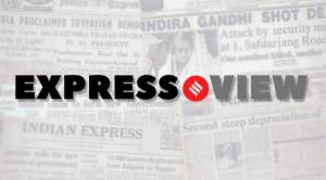 The Rachel Papers, Martin Amis, literary stardom, British working class, indian express, indian express news