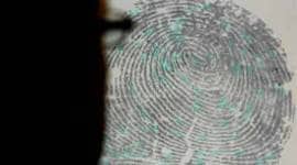 fingerprinting
