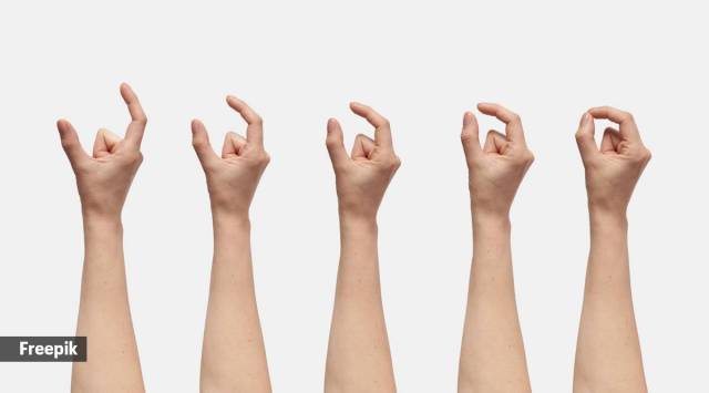 fingers function