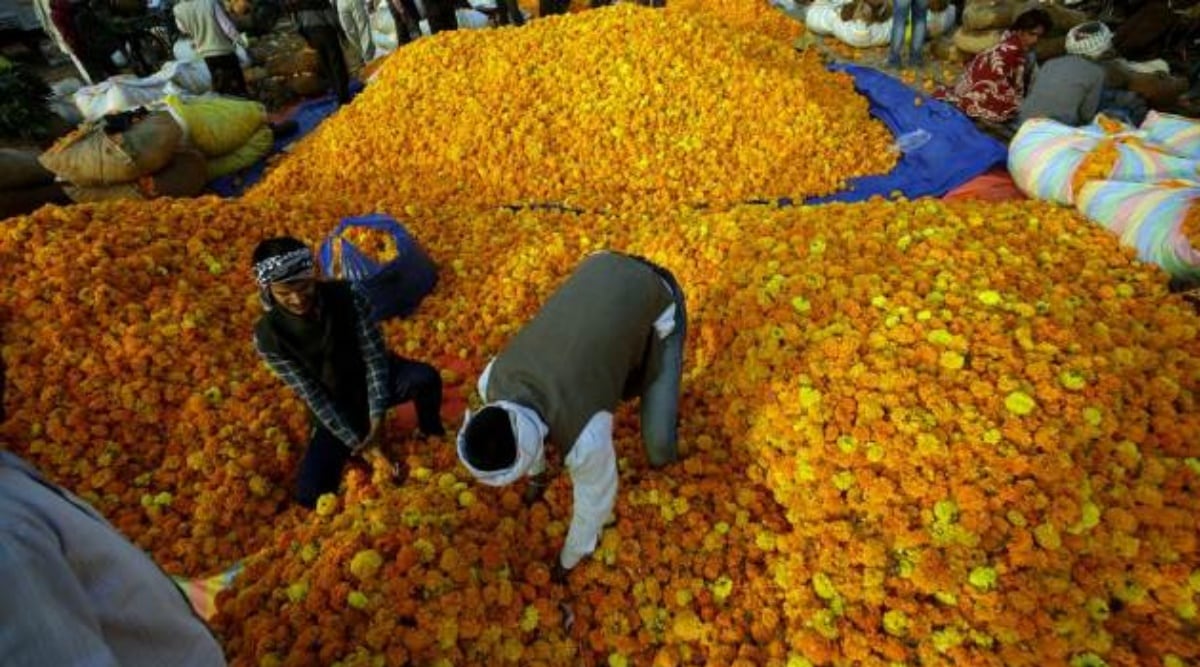 Civic body allots 24 more platforms to florists at Rajkot flower market