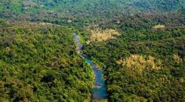 Bhimgad Wildlife Sanctuary