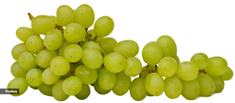 Diabetic patients can consume grapes in moderation