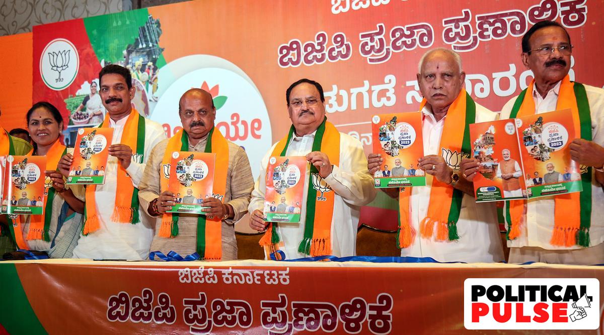 karnataka bjp quota rejig boomerangs